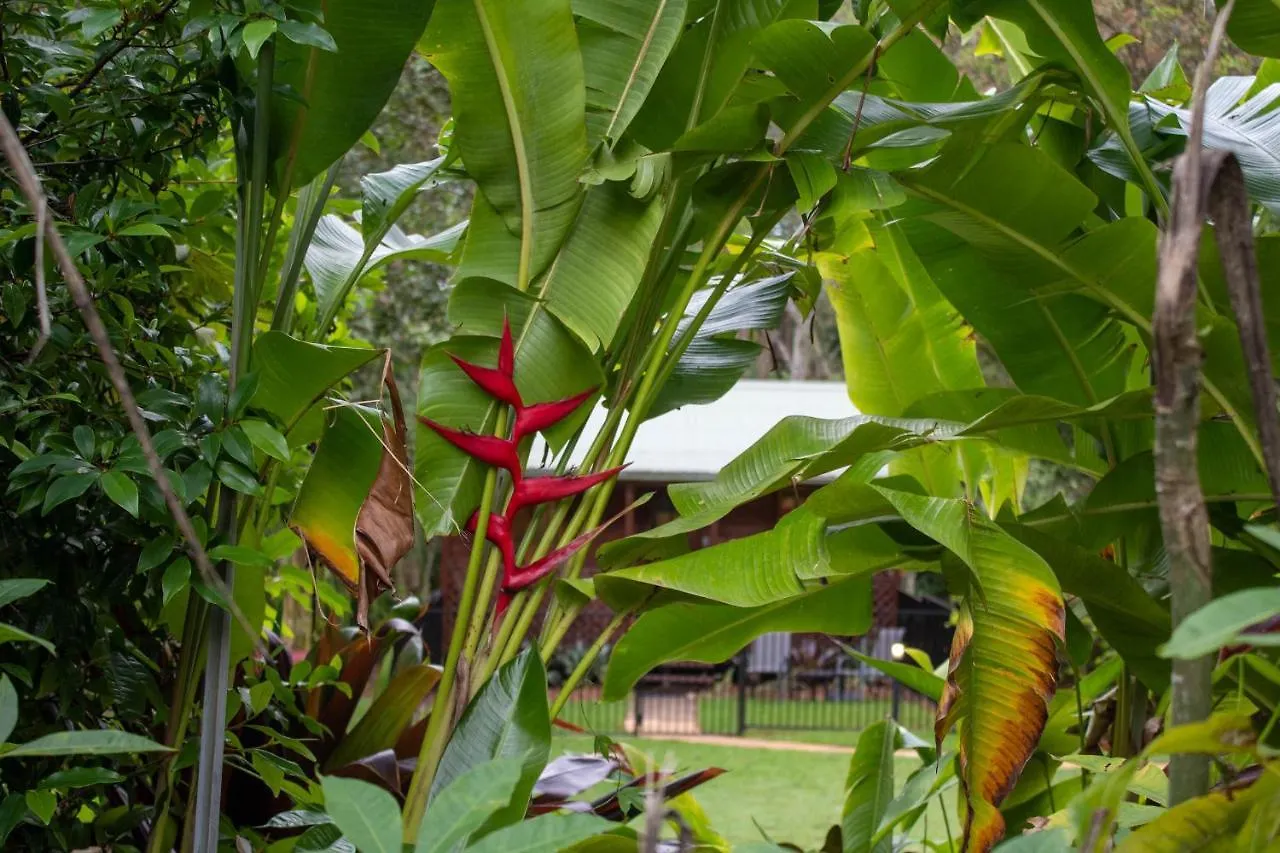 Sunshine Valley Cottages Woombye